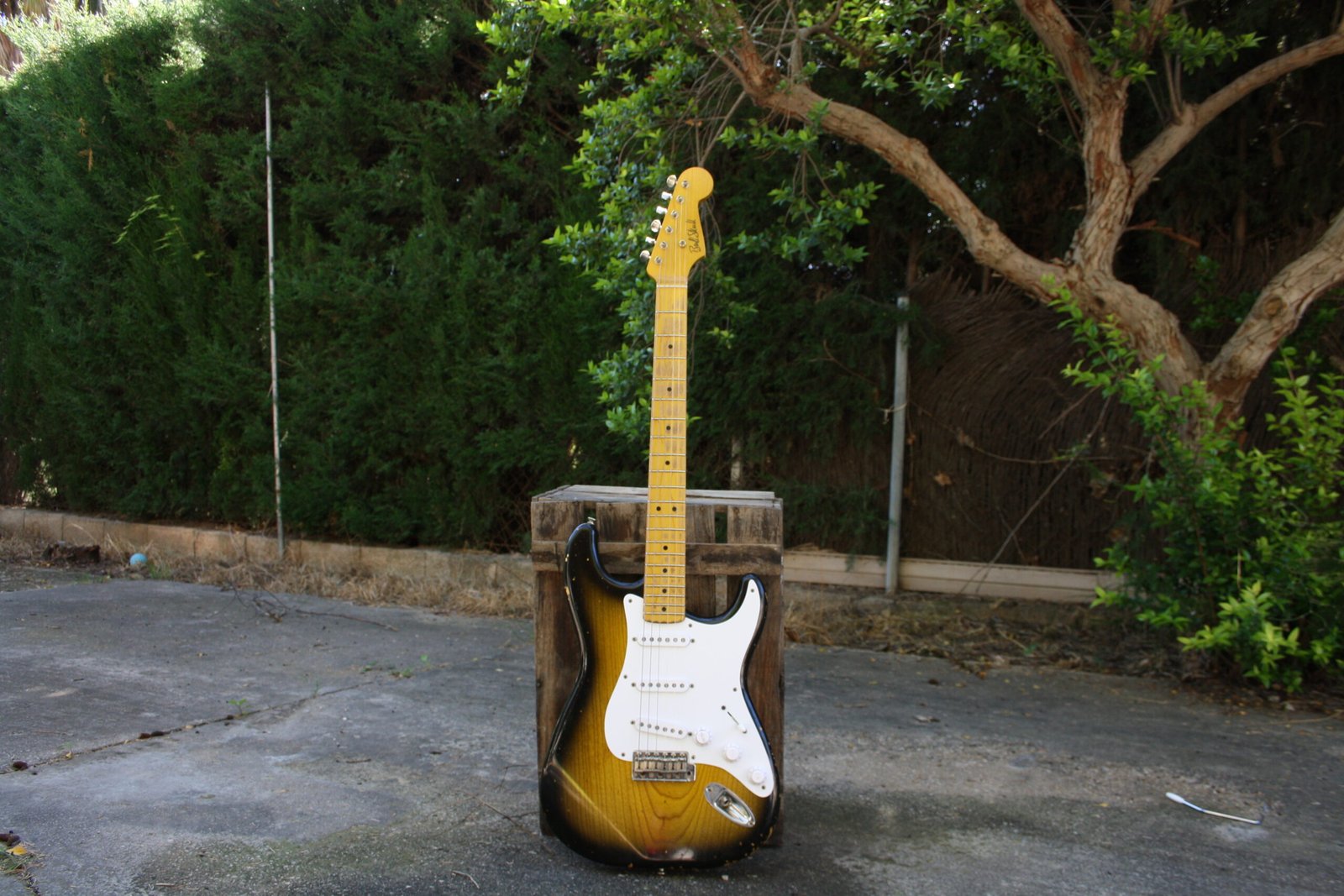 S-Model 20th — Bull Skull Guitars