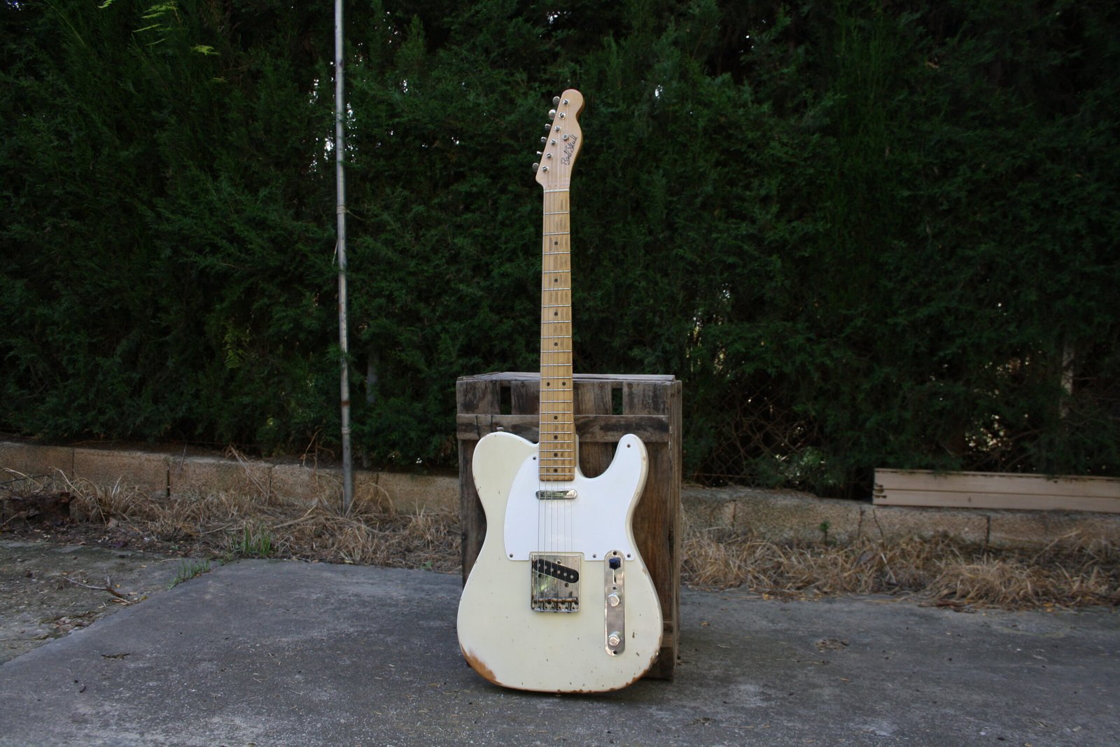 Vintage electric guitar T-Model Nitro 20th Anniversary, white nitrocellulose relic Telecaster, Bull Skull