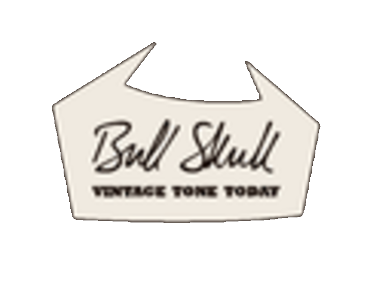 Bull Skull Guitars